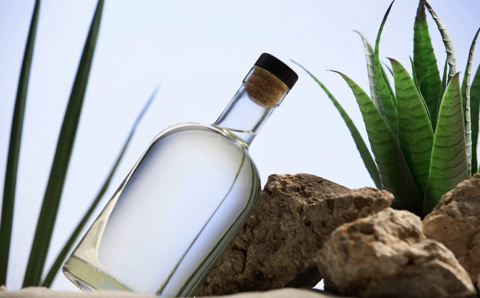 бутылка водки