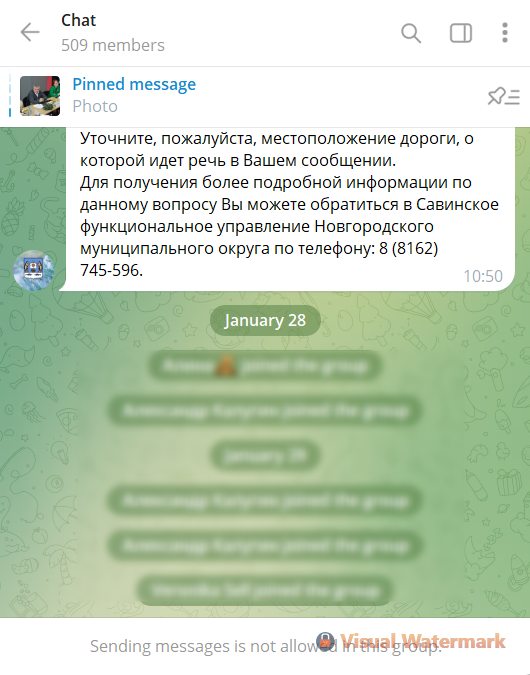 Скрин чата губернатора Новгородской области.