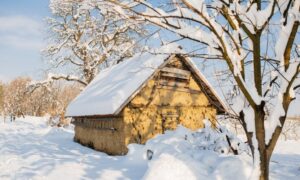 дом в деревне зимой