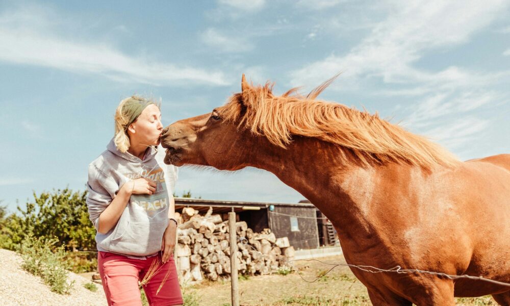 Лошадь и девушка