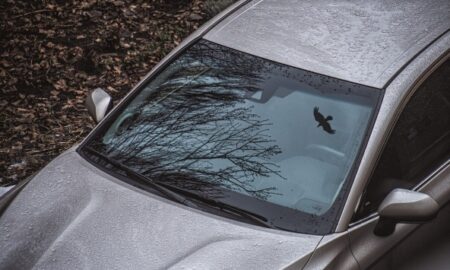 Автомобиль припаркован под деревом