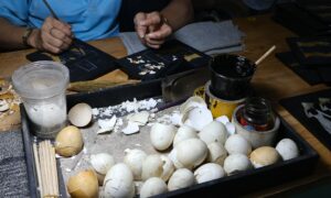 Яичная скорлупа