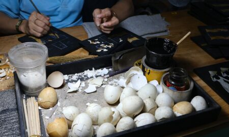 Яичная скорлупа