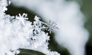alt снег в приближении