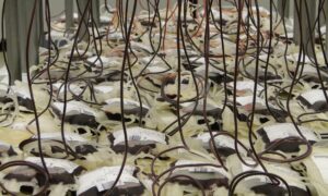 alt пакеты с кровью