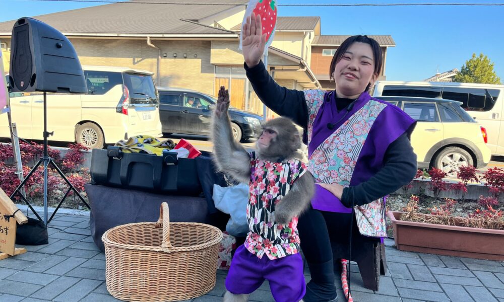 Девушка с обезьянкой