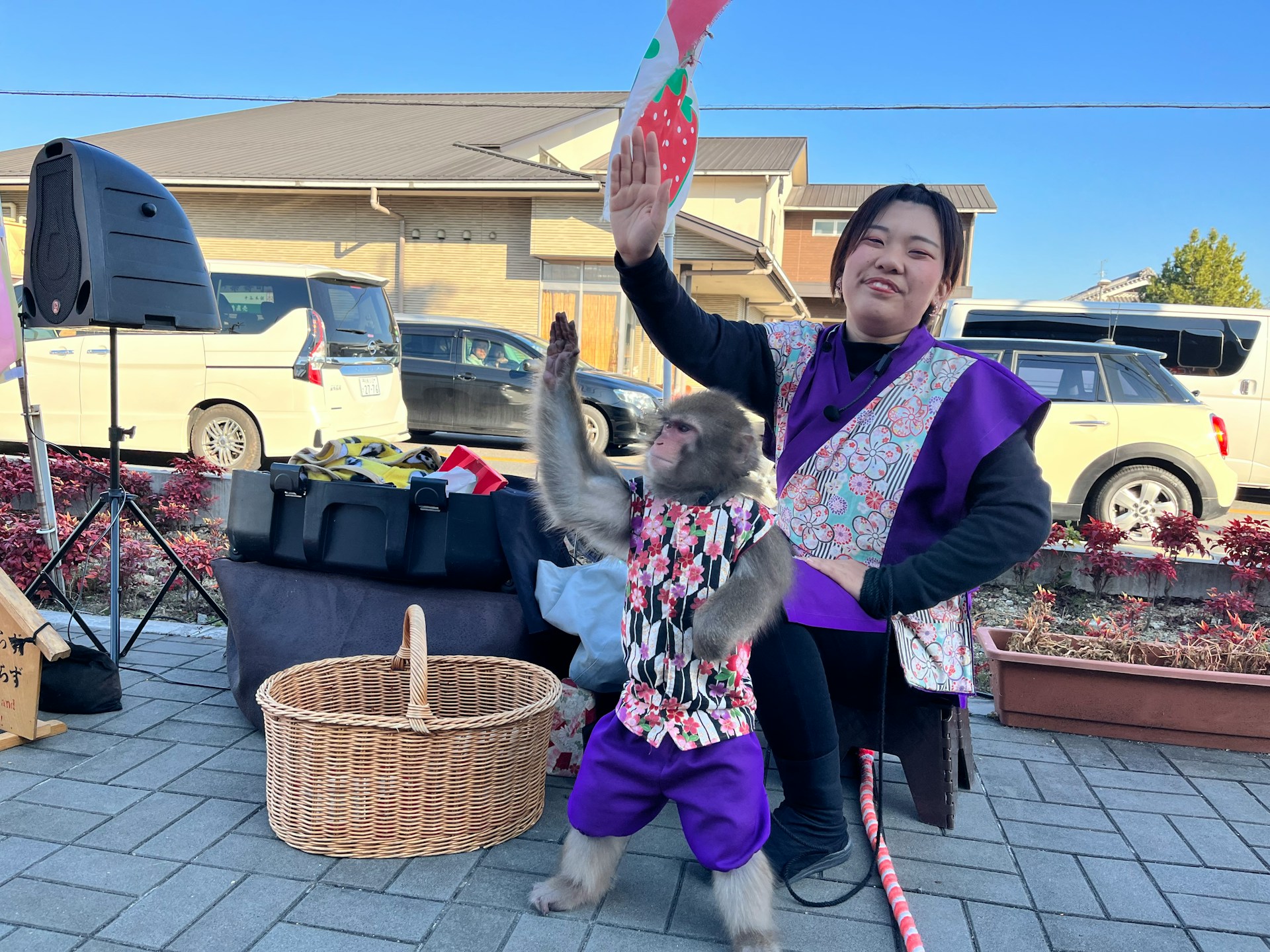 Девушка с обезьянкой