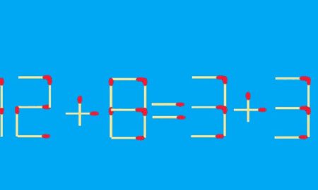 равенство 12+8=3+3