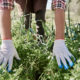 Человек в перчатках рвет траву