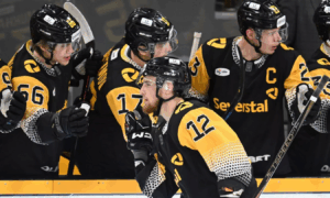 Хоккеисты "Северстали"