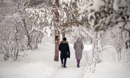 пара гуляет по заснеженному лесу