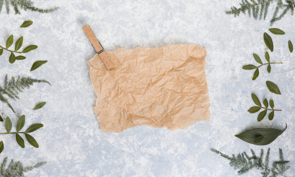 Лист бумаги с ветками растений на столе