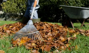 уборка участка