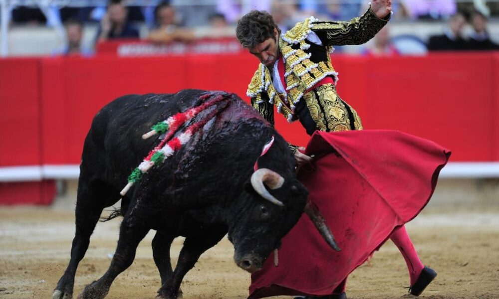 матадор и бык