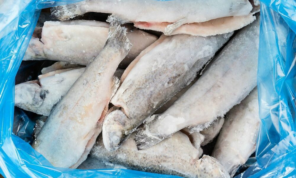 замороженная рыба