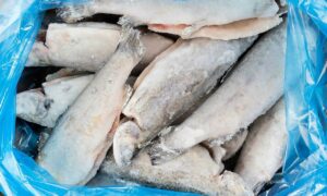 замороженная рыба