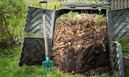 компостная куча