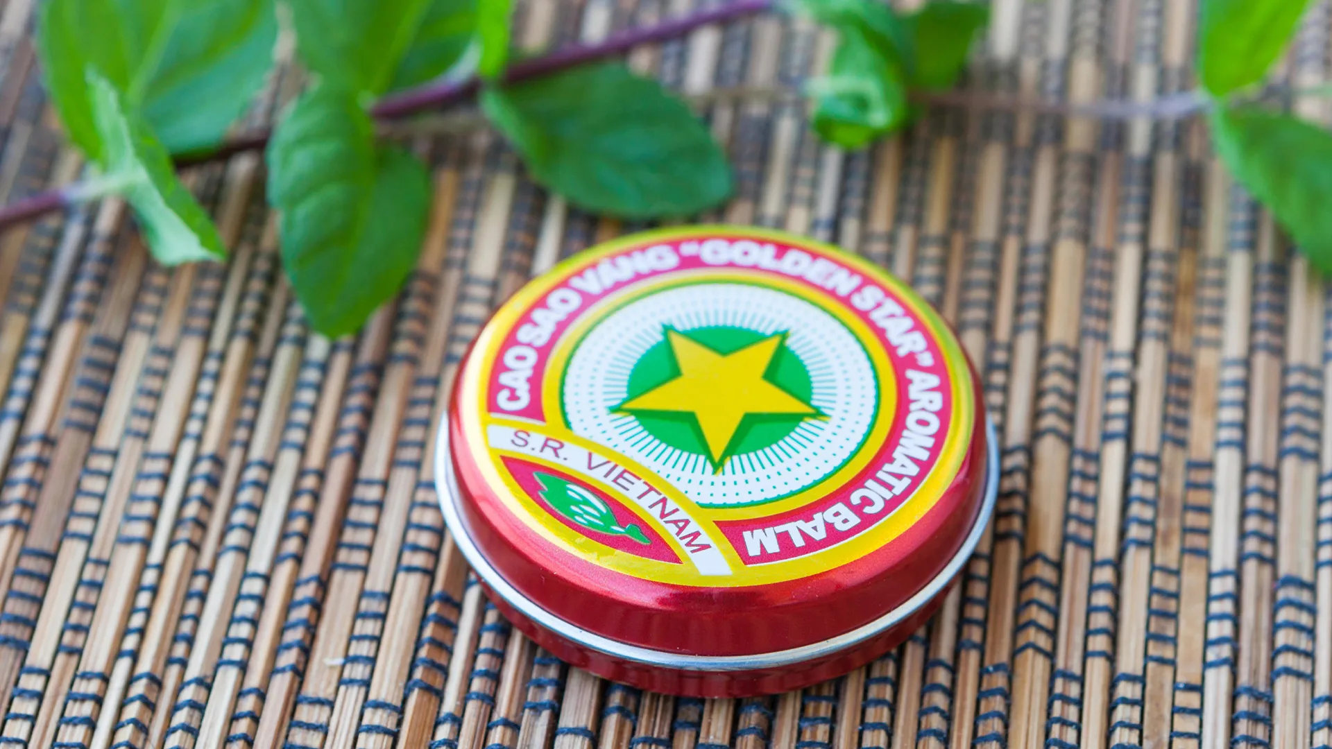 вьетнамская звёздочка