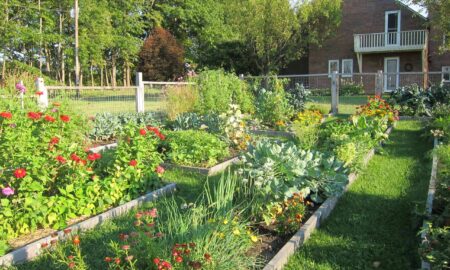 дачный участок