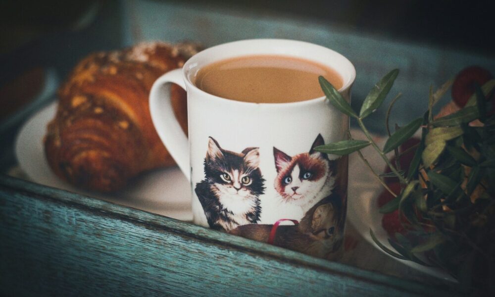 напиток из цикория