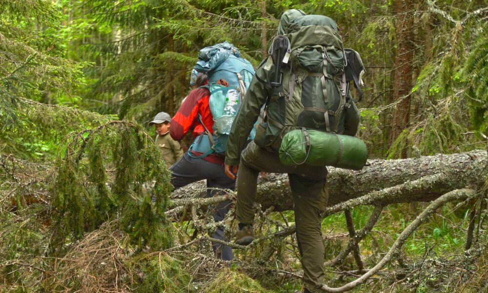 поход в лес