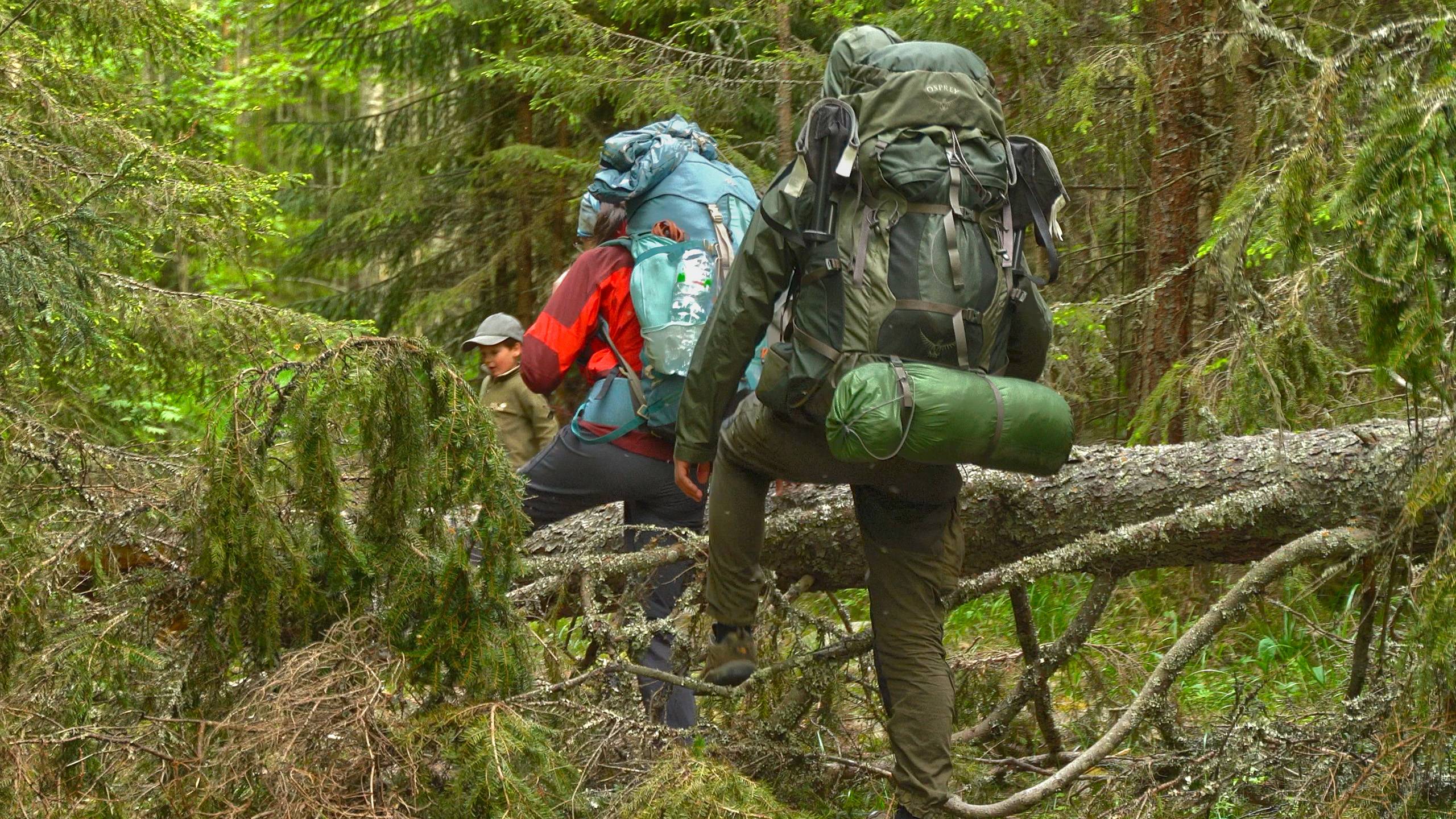 поход в лес