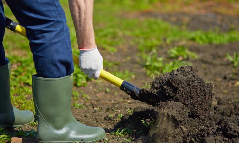 перекопка земли