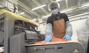 работа на рыбном заводе