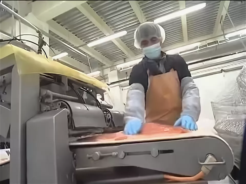 работа на рыбном заводе
