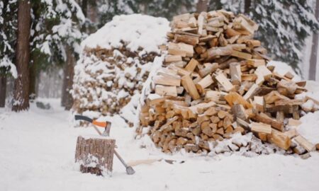 заготовка дров