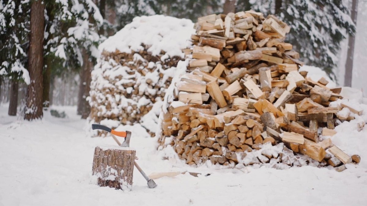 заготовка дров