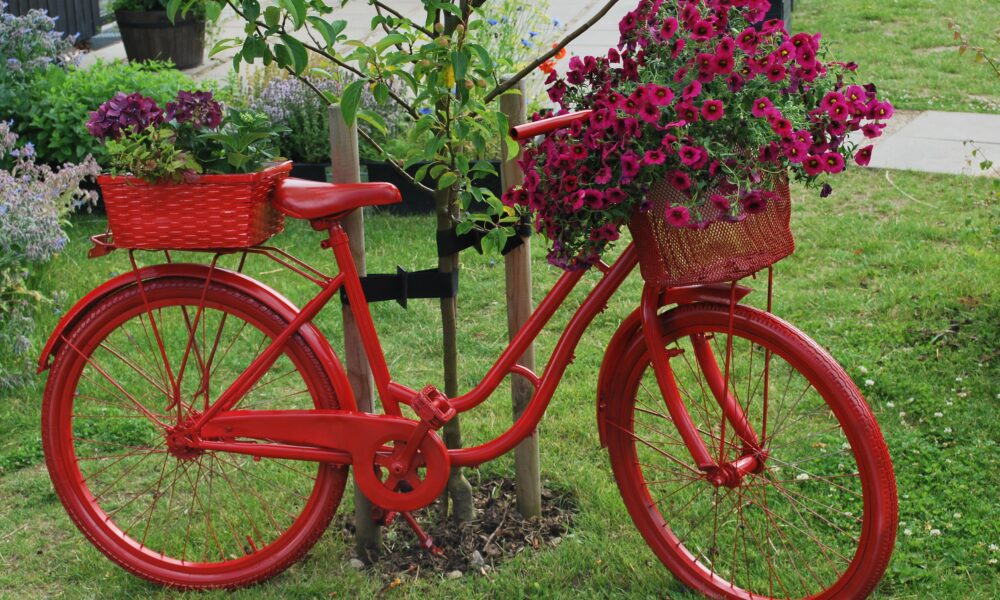 клумба из велосипеда