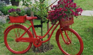 клумба из велосипеда