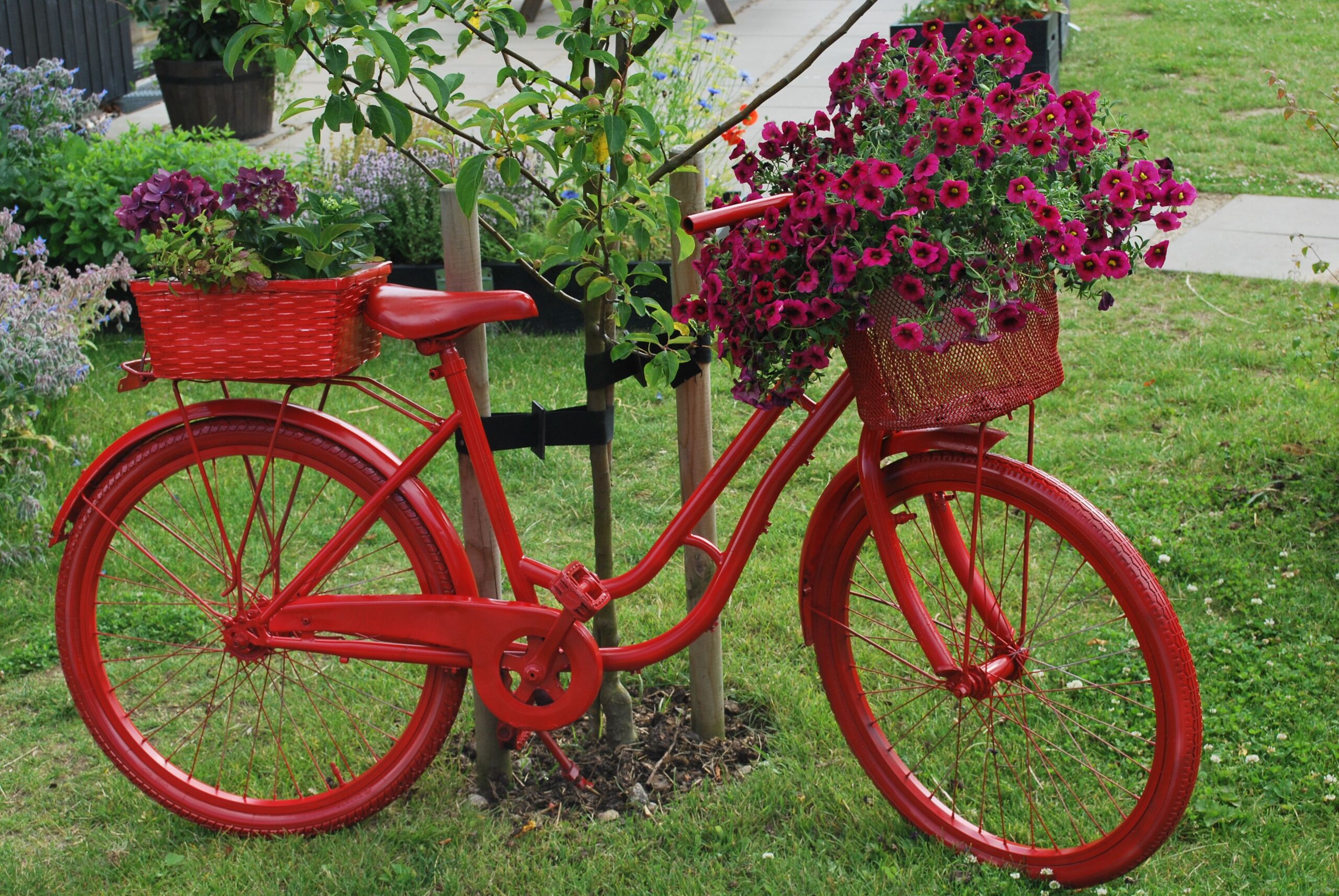 клумба из велосипеда