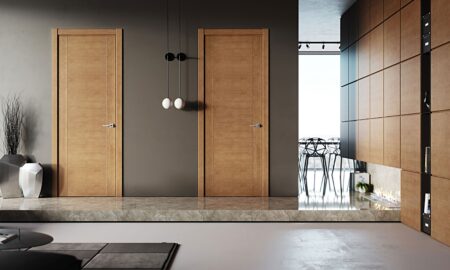 двери в интерьере