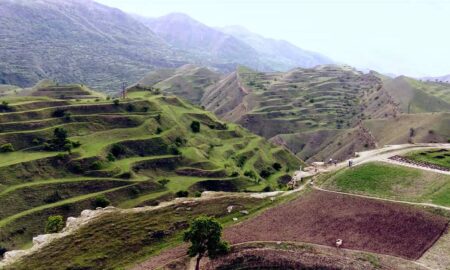 Чохские террасы