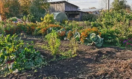 огород в деревне