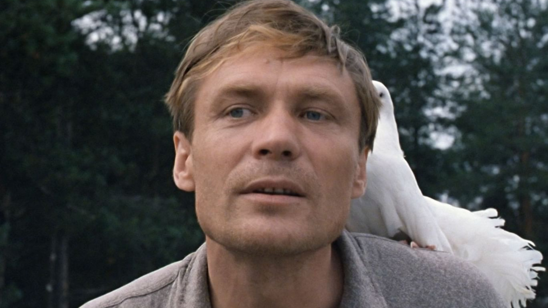 Александр Михайлов