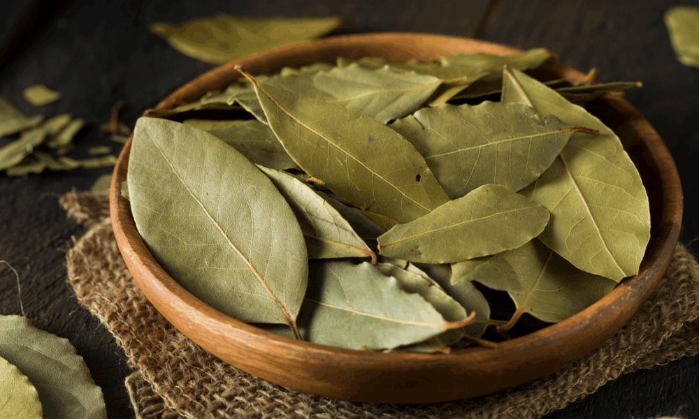 лавровый лист