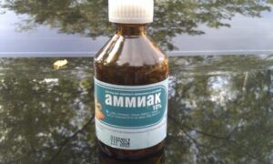 аммиак
