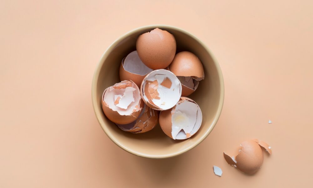 Яичная скорлупа