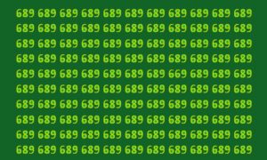 множество чисел 689 и одно 669 на зелёном фоне