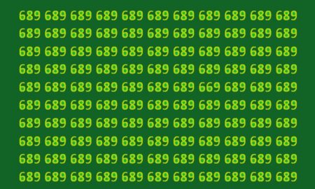 множество чисел 689 и одно 669 на зелёном фоне