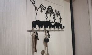 ключи от новостройки