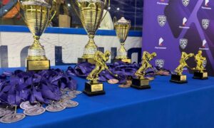 Медали и кубки