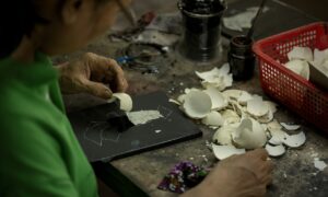 Яичная скорлупа