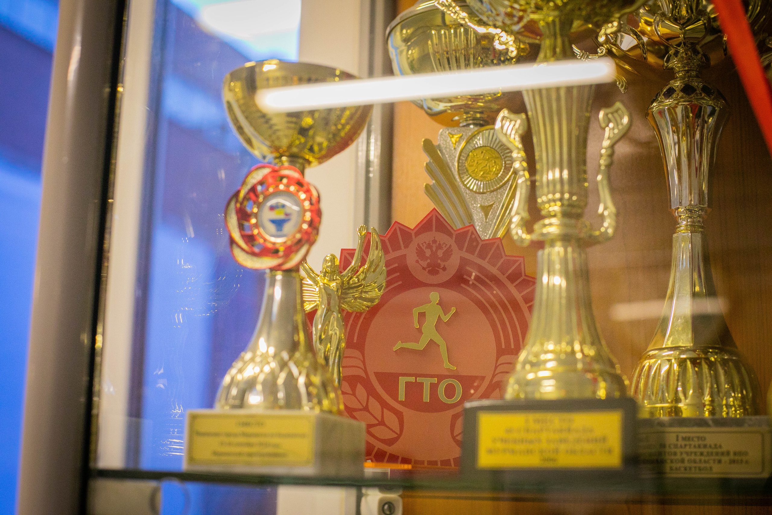 награда за сдачу ГТО