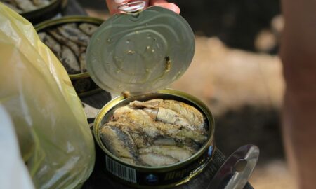 Банка шпротов