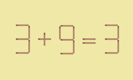 Пример из спичек