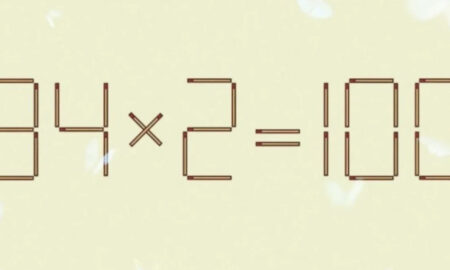 Пример из спичек